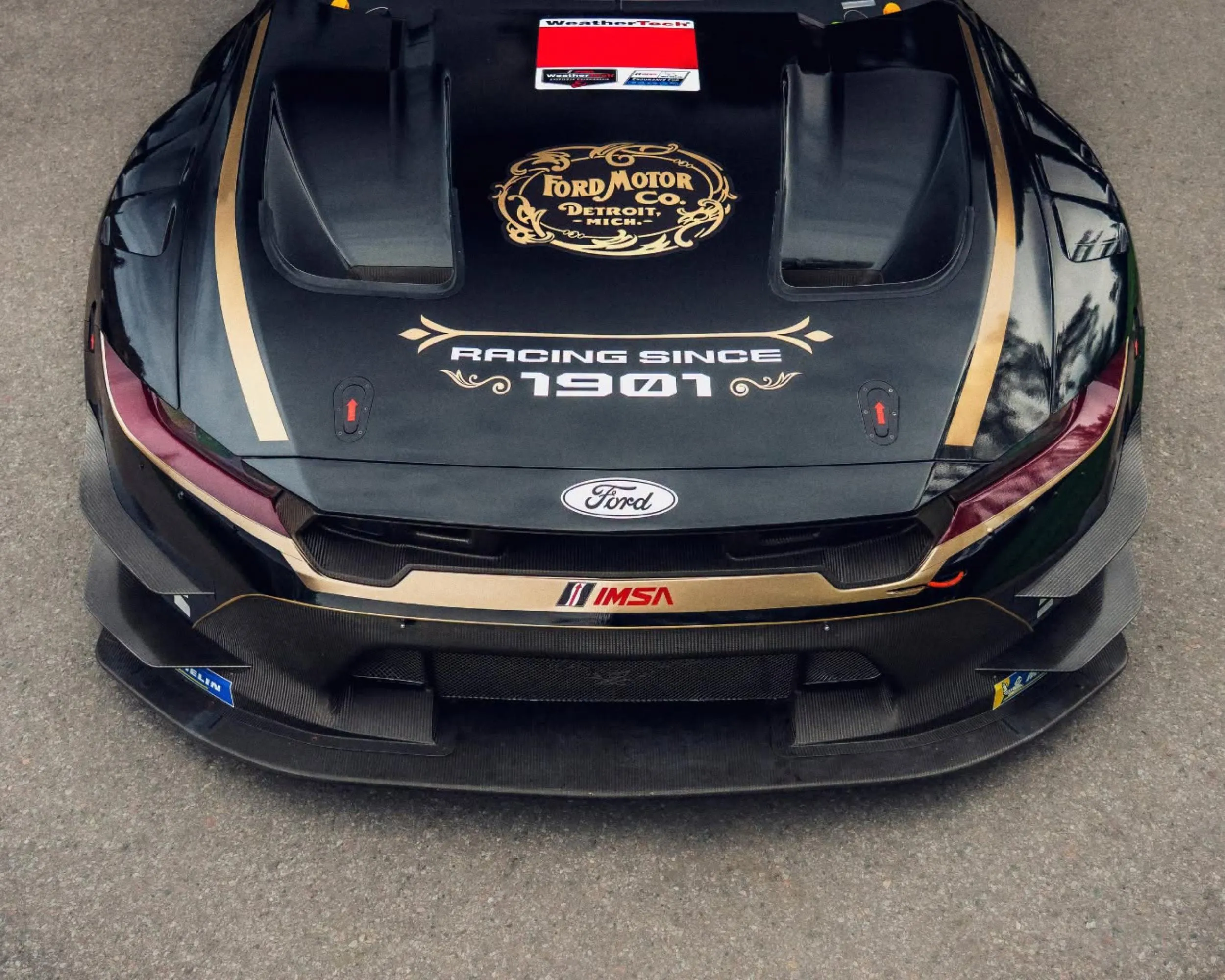 Ford Mustang GT3 livery
